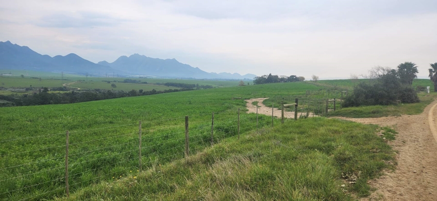8 Bedroom Property for Sale in Geelhoutboom Western Cape